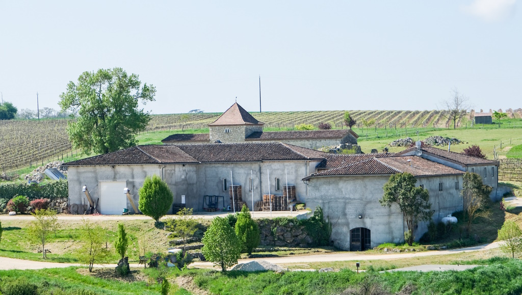Vins IGP Côtes de Gascogne au Domaine Les Remparts au lieu-dit Le Bourdilet à Condom dans le Gers